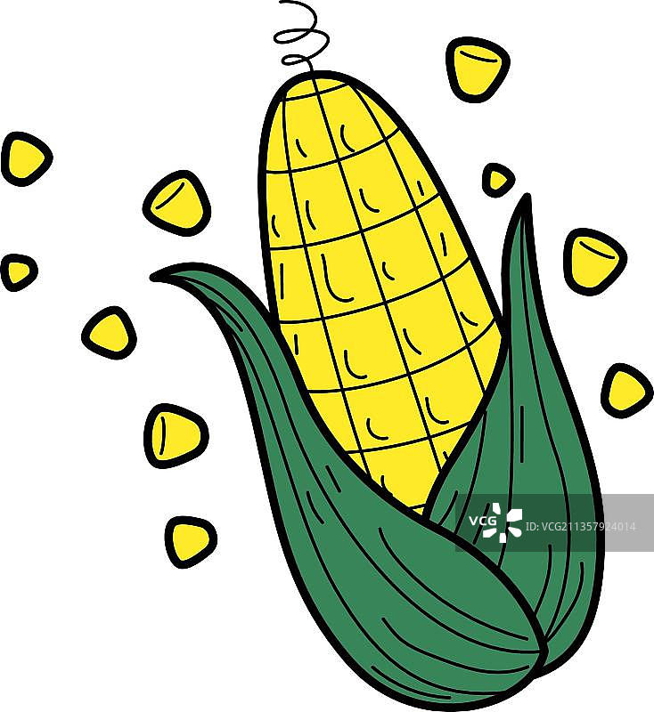 成熟的玉米图片素材