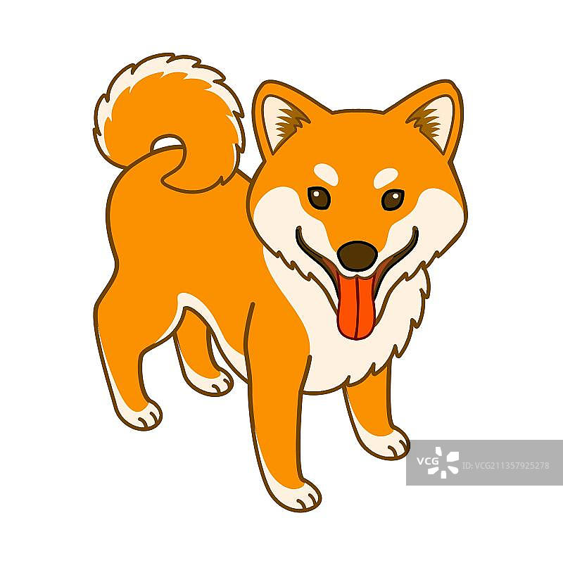 日本家犬柴犬图片素材