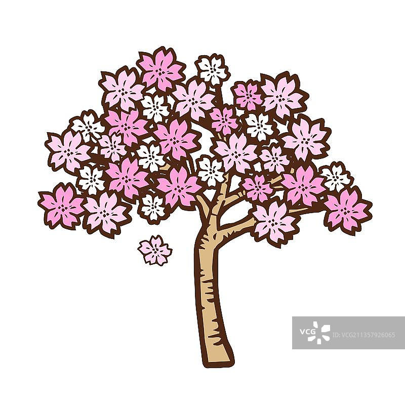 粉红色的樱花的树图片素材