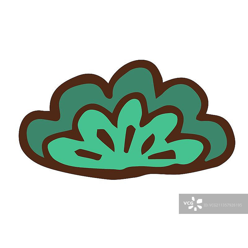 日本松叶图片素材