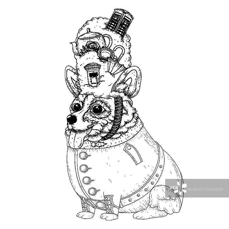 穿着英国警卫服的柯基犬图片素材