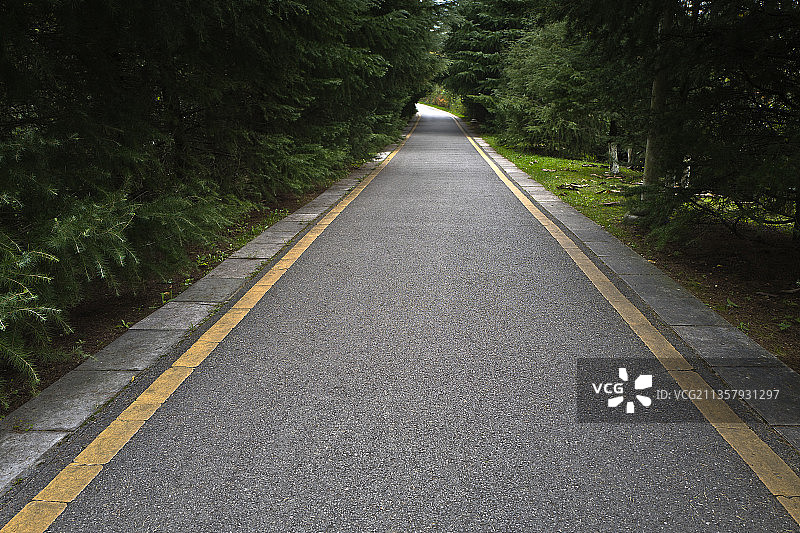 公园里的路图片素材