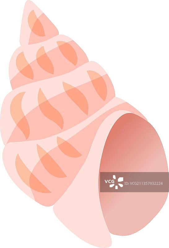 粉红色的贝壳图片素材