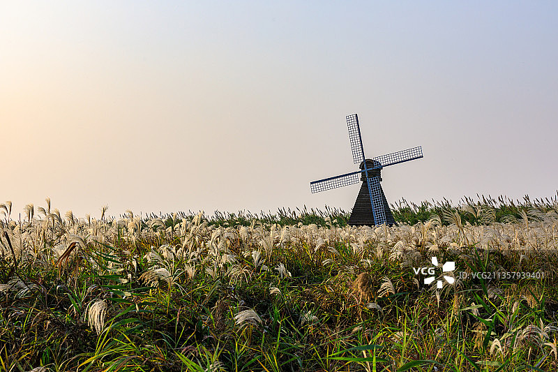 草地上的大风车图片素材
