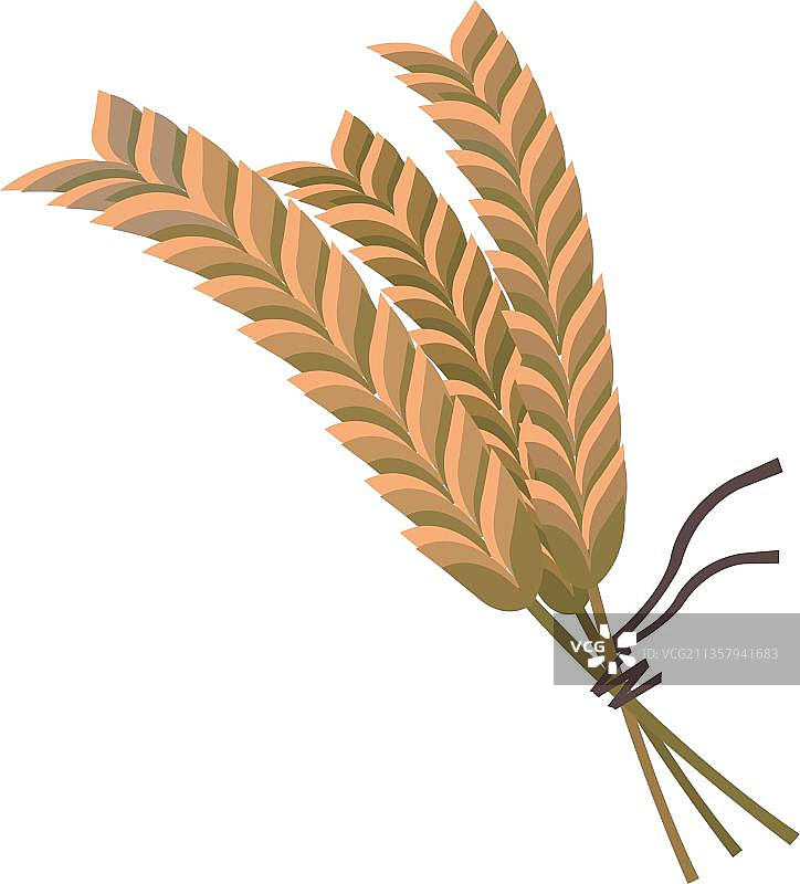 手绘粮食图片素材