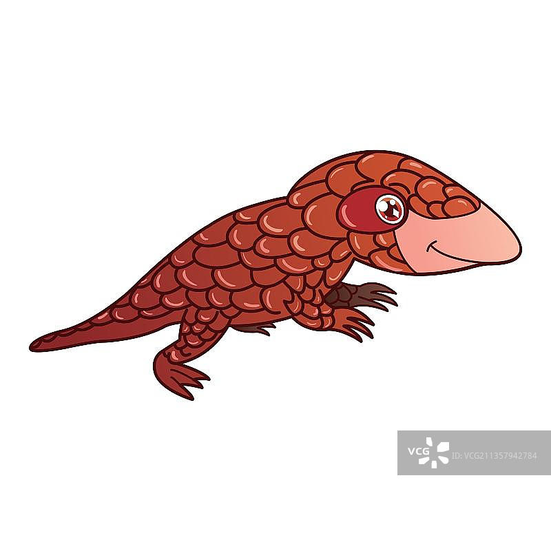 可爱的穿山甲图片素材