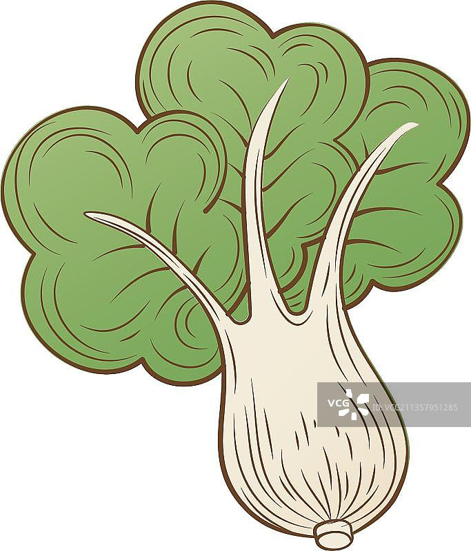 扁形蔬菜图片素材