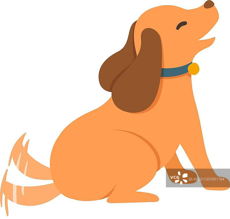 迷你腊肠犬图片素材