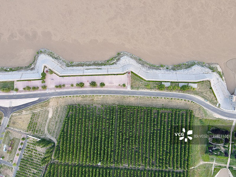 航拍黄河与绿化带。图片素材