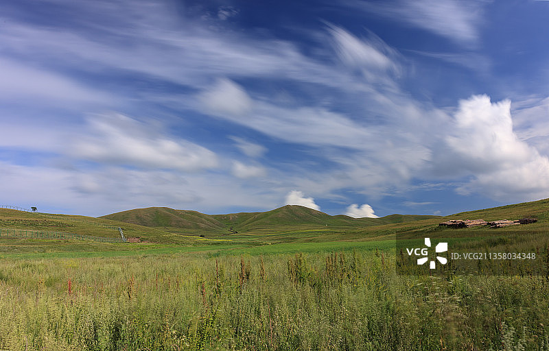 红石崖高山草原，高山牧场。图片素材