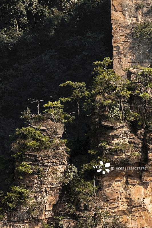 湖南张家界天子山石英砂岩峰林地貌图片素材