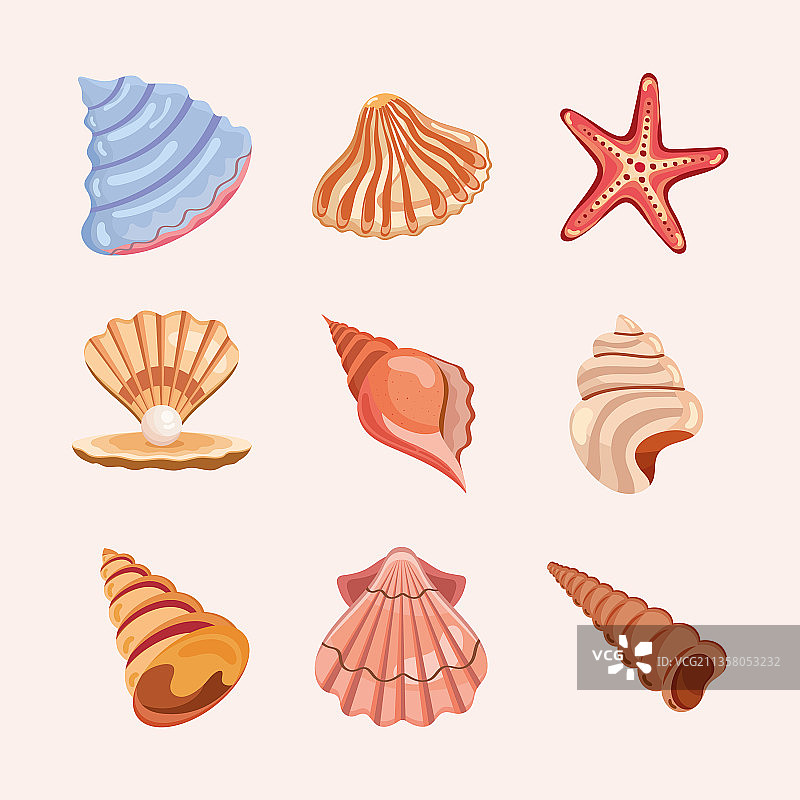九个海螺贝壳图标图片素材