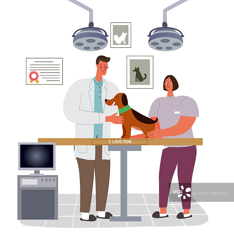 一只狗在兽医院接受治疗图片素材