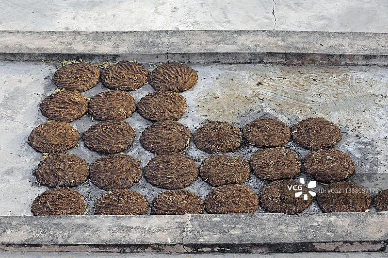 晾晒干的牛粪，拉贾斯坦邦，印度，亚洲图片素材