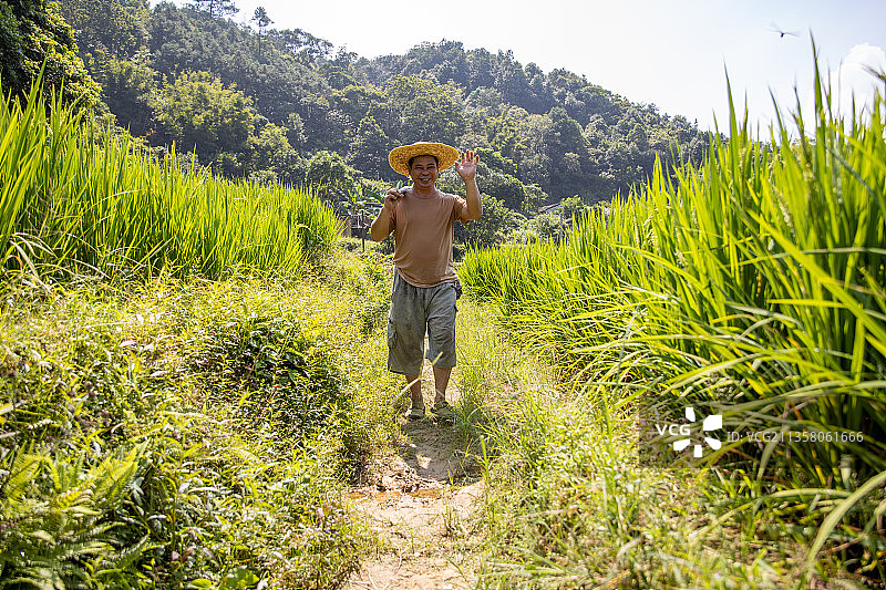 开心地去田里劳作的农民图片素材