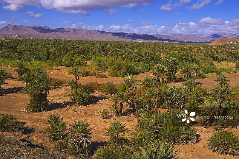 吉贝尔基萨内,阿格兹,棕榈树林,绿洲,德拉谷,苏斯-马塞-德拉地区,德拉河谷,反阿特拉斯山脉,马格里布,北非,摩洛哥,非洲图片素材
