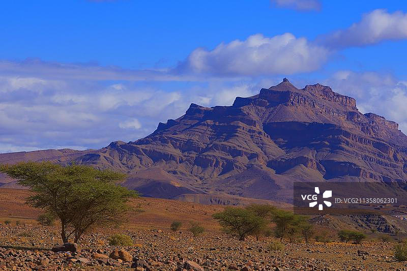 吉贝尔基萨内,阿格兹,绿洲,德拉谷,苏斯-马赛-德拉地区,德拉河谷,反阿特拉斯山脉,马格里布,北非,摩洛哥,非洲图片素材