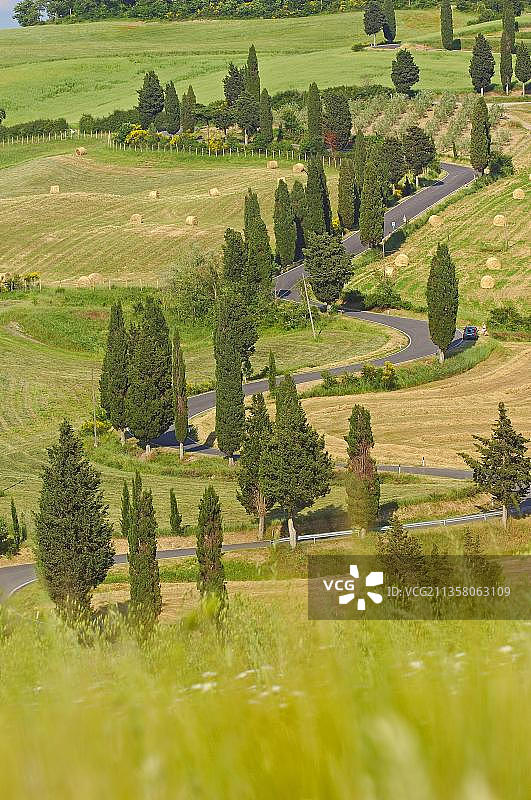 奥尔恰谷，皮恩扎，道路和柏树，从皮恩扎到蒙特普尔恰诺的道路，托斯卡纳风景，联合国教科文组织世界遗产，锡耶纳省图片素材