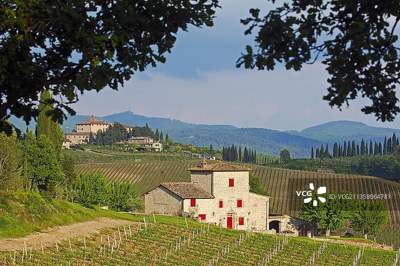 意大利托斯卡纳基安蒂葡萄园图片素材
