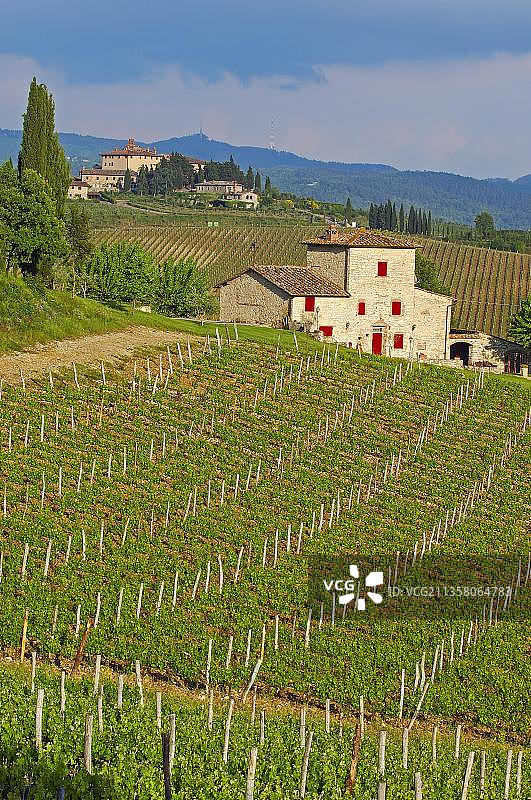 意大利托斯卡纳基安蒂葡萄园图片素材
