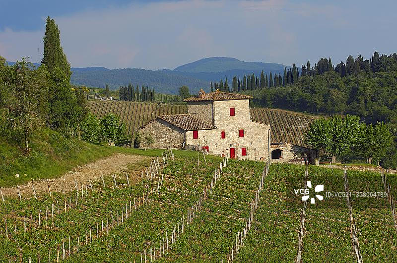 意大利托斯卡纳基安蒂葡萄园图片素材