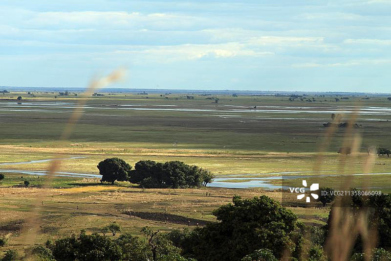 赞比亚西部省份巴罗兹冲积平原的蒙古洪泛区图片素材