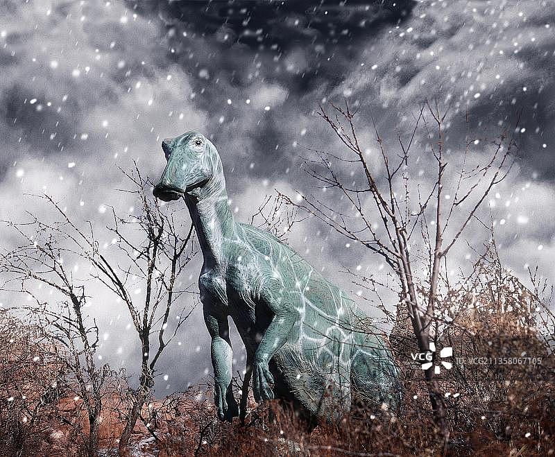 鸭嘴龙：白垩纪晚期北美化石中的双足鸭嘴龙图片素材