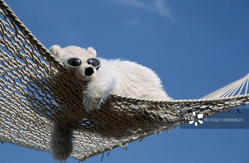吊床上布制宠物北极熊图片素材