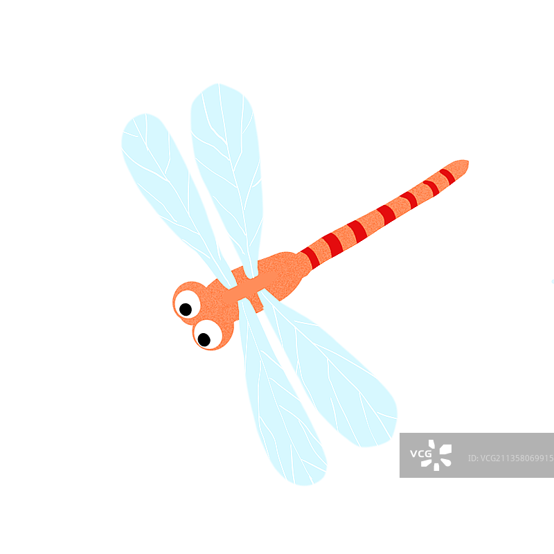 蜻蜓图片素材