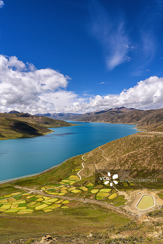 秋天的羊湖，成熟的青稞地图片素材