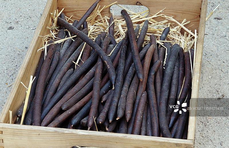 决明子果实图片素材