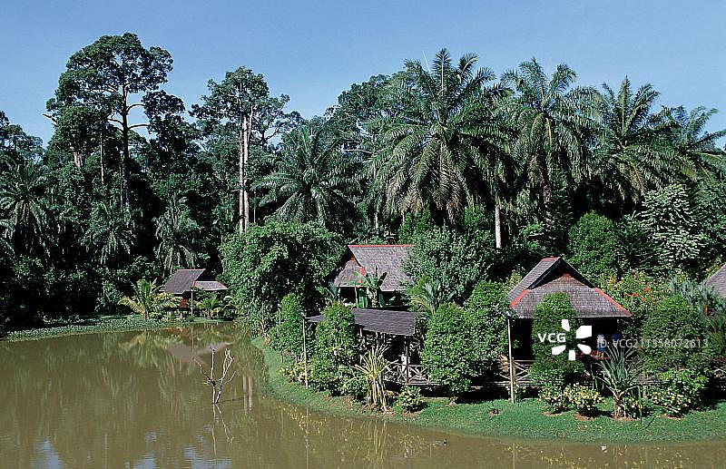 Sepilok Nature Resort, Sepilok, Sabah，婆罗洲，马来西亚图片素材