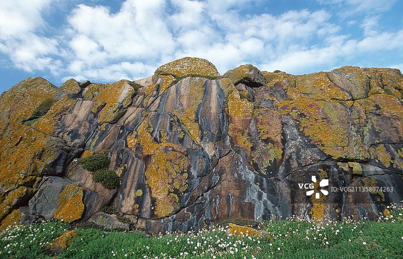 欧洲爱尔兰萨尔蒂岛有地衣的岩石图片素材