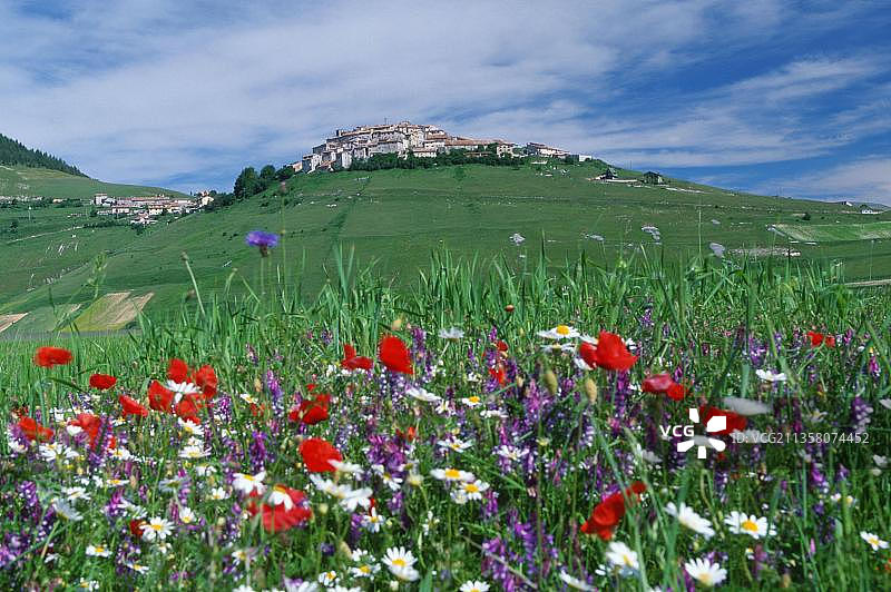 意大利西比里尼山国家公园卡斯特卢乔山村花海图片素材