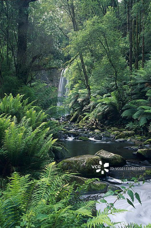 博尚瀑布，奥特威国家公园（维多利亚州），澳大利亚，大洋洲图片素材