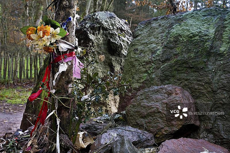 梅林墓、巨石柱、帕姆蓬森林的鲜花，法国图片素材