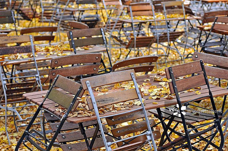 秋季德国慕尼黑啤酒花园图片素材