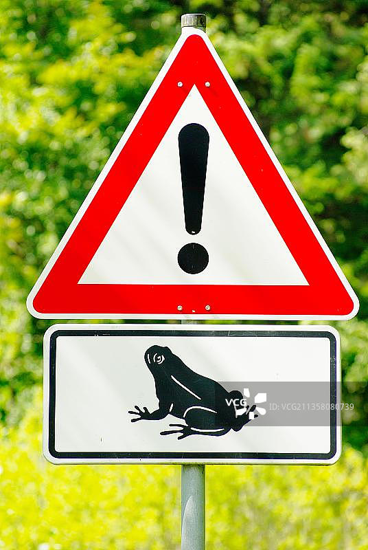 “注意青蛙”标志，蟾蜍迁徙，交通标志，警示标志，德国图片素材