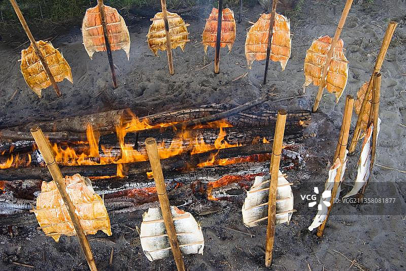 印度传统烤鱼方式，内亚湾，马卡印第安人保留地，奥林匹克半岛，华盛顿，篝火，鲑鱼，美国，北美图片素材