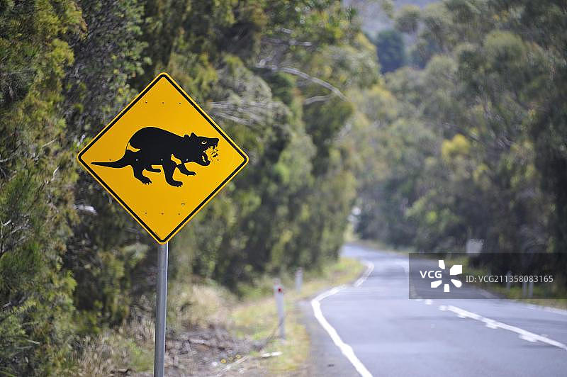 塔斯马尼亚恶魔交通标志包（澳大利亚，大洋洲）图片素材