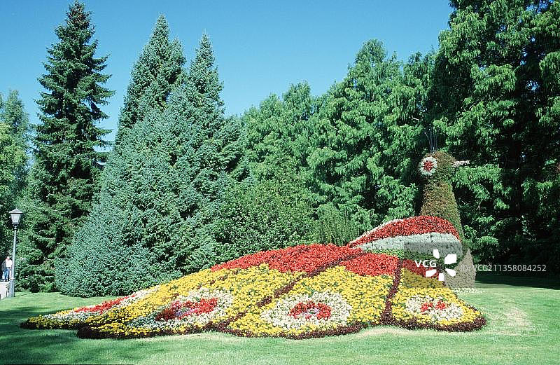 德国美瑙岛孔雀造型花卉装饰图片素材