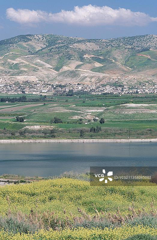 竖版以色列约旦边境鲁平农场风景图片素材