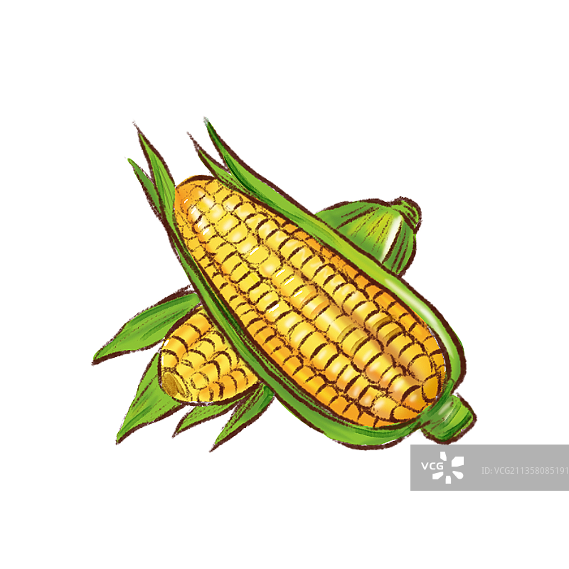 玉米图片素材