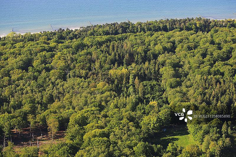 德国梅克伦堡-西波美拉尼亚波罗的海的森林图片素材