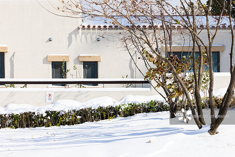 北戴河阿那亚冬天雪景图片素材