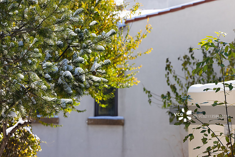 北戴河阿那亚冬天雪景图片素材