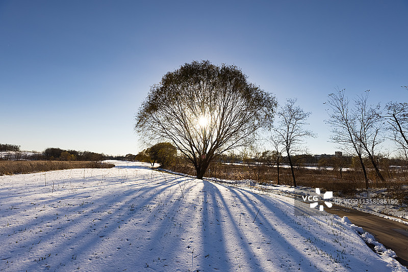 北戴河阿那亚冬天雪景图片素材