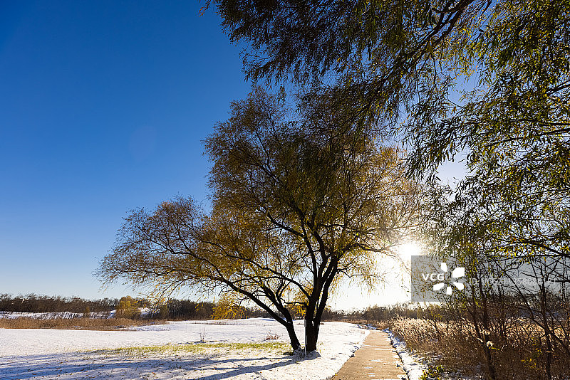 北戴河阿那亚冬天雪景图片素材