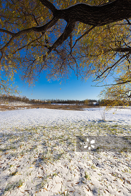 北戴河阿那亚冬天雪景图片素材