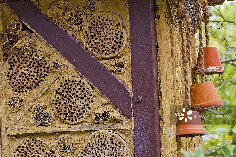 野生蜜蜂和其他昆虫的筑巢辅助设施，北莱茵-威斯特法伦州，昆虫旅馆，野生蜜蜂墙，野生蜜蜂架，蜜蜂架，自然保护，野生蜜蜂，德国，欧洲图片素材